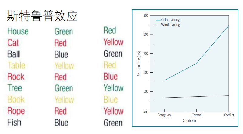 image-20231115175309532