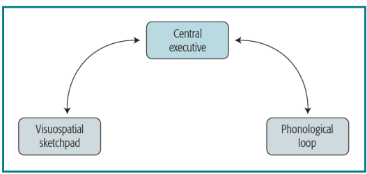 image-20231115180036098